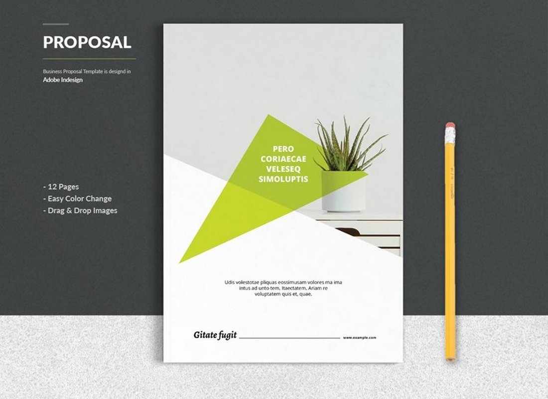 A free business project proposal