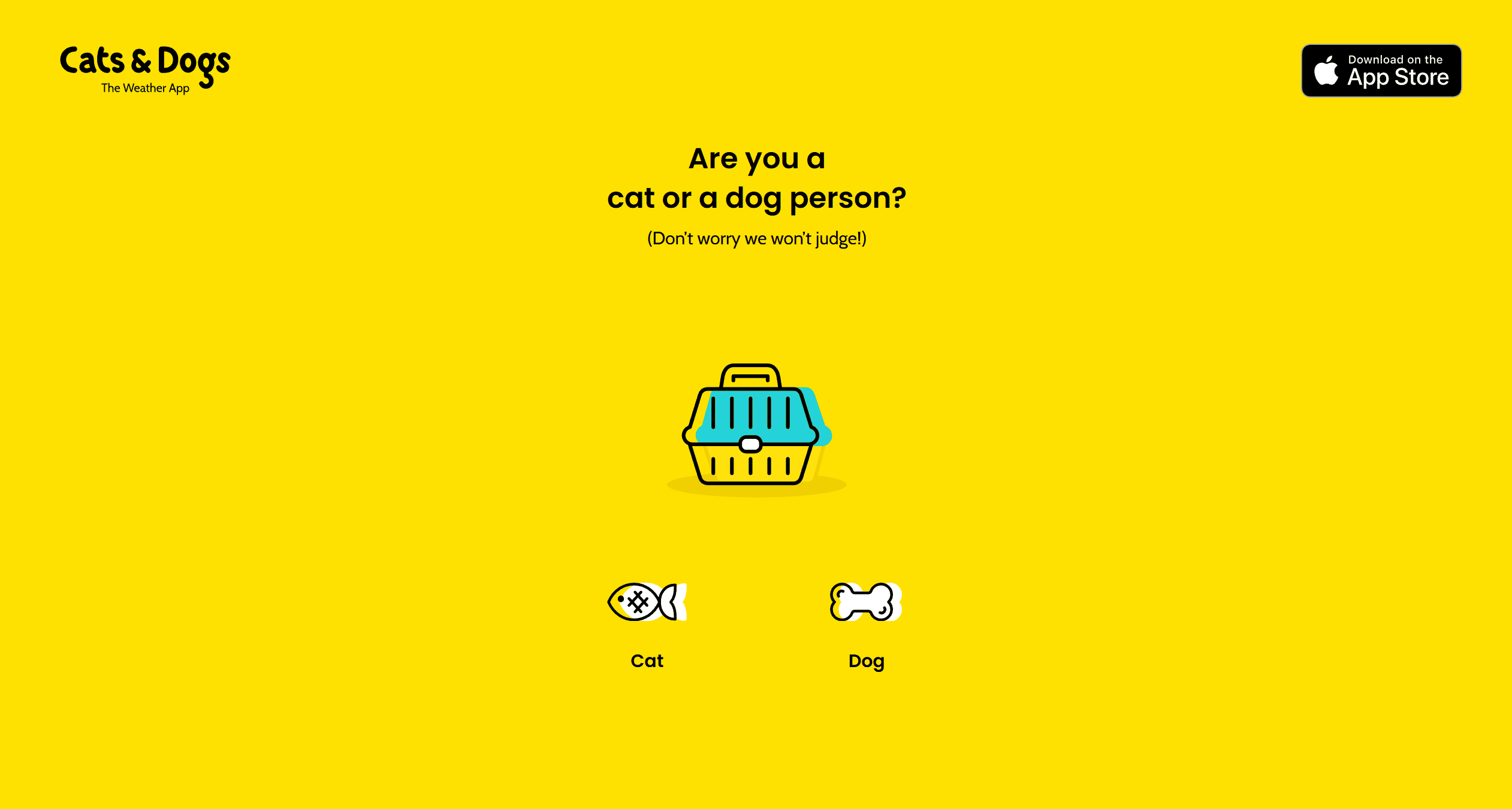 Cats and Dogs yellow website design