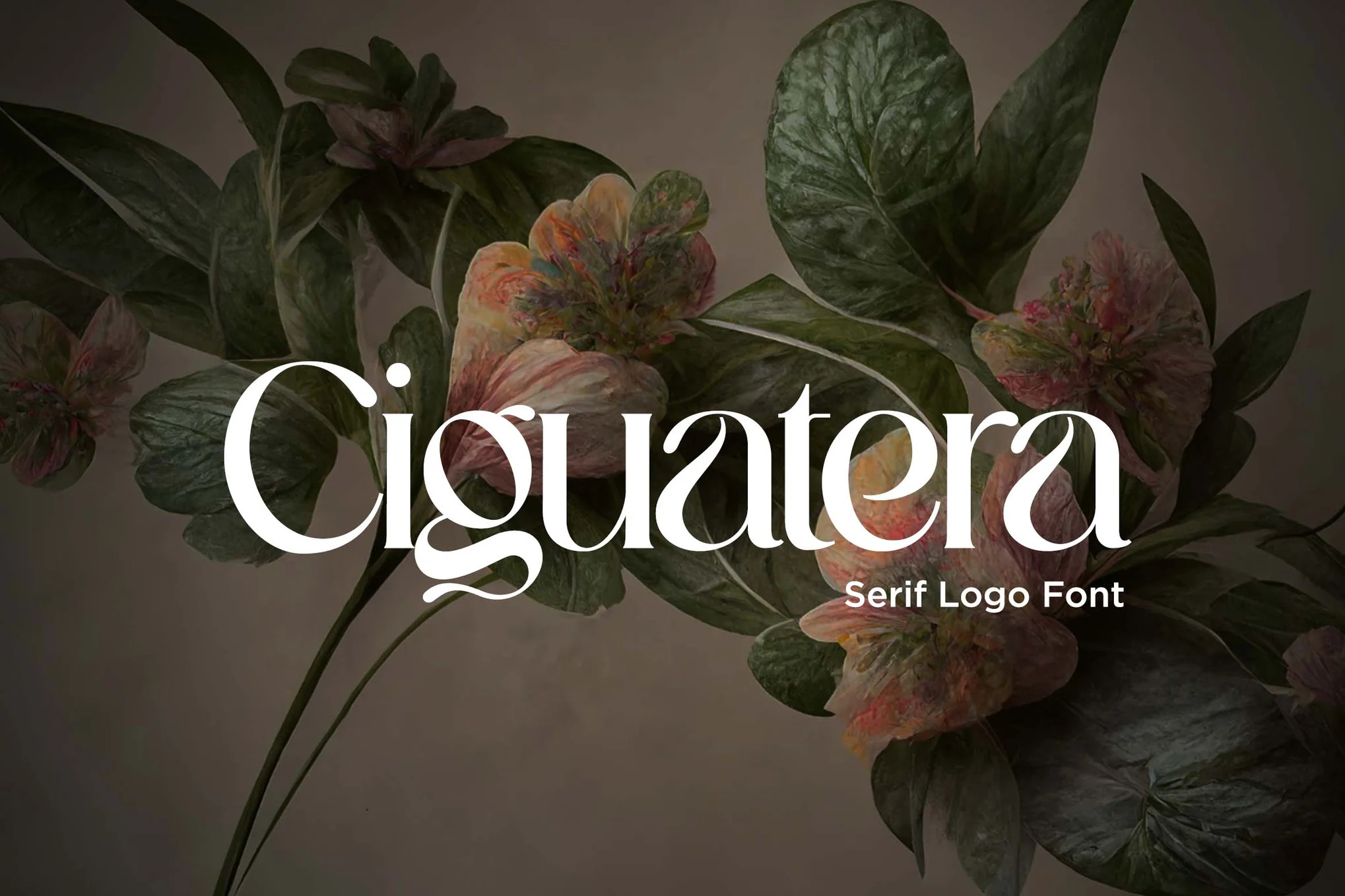 A serif logo font