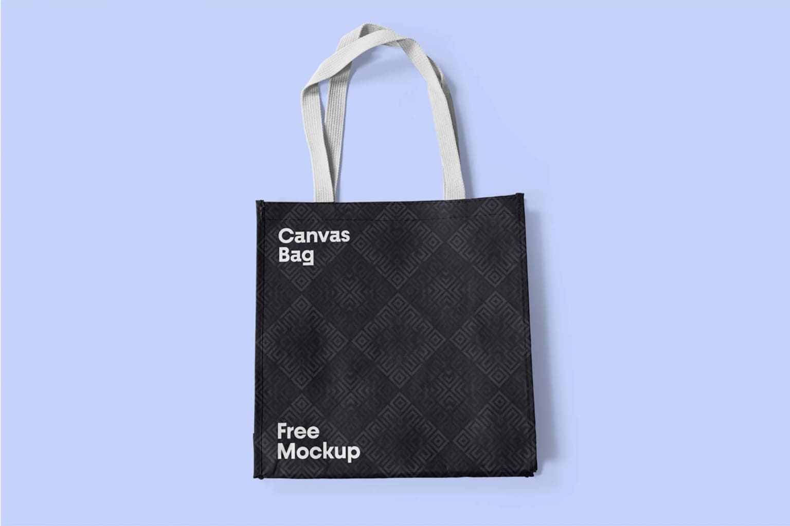A free canvas bag mockup