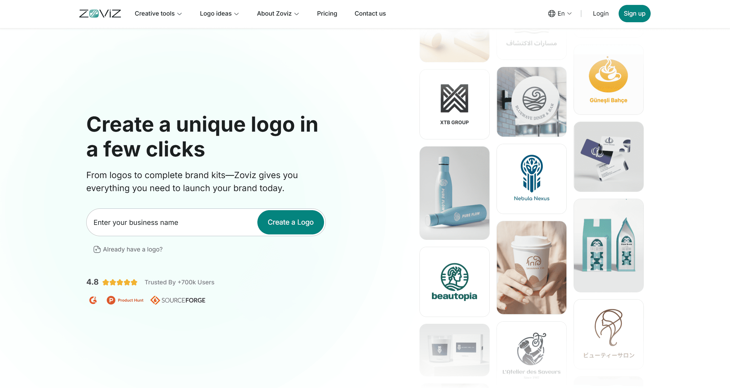 A Zoviz website layout