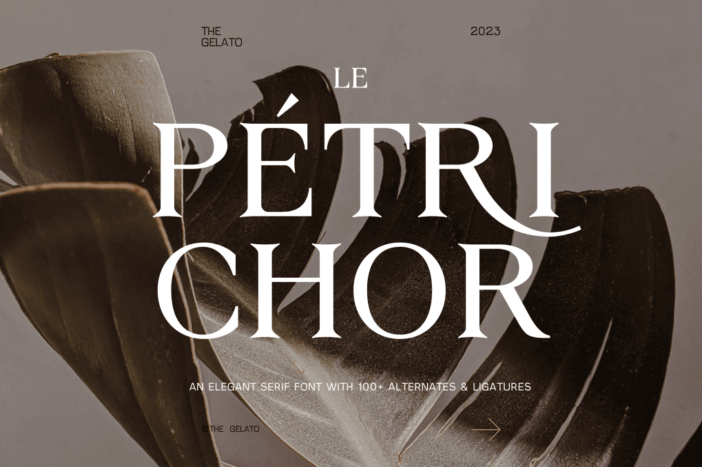 A modern elegant minimal serif font