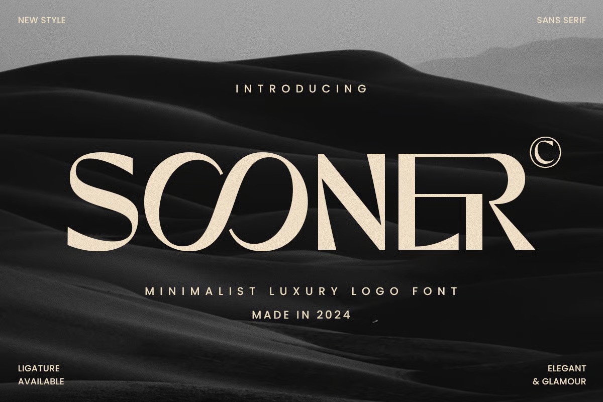 An minimalist luxury logo font