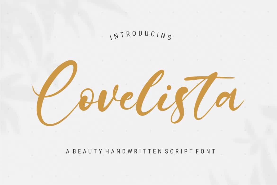 A beauty handwritten script font