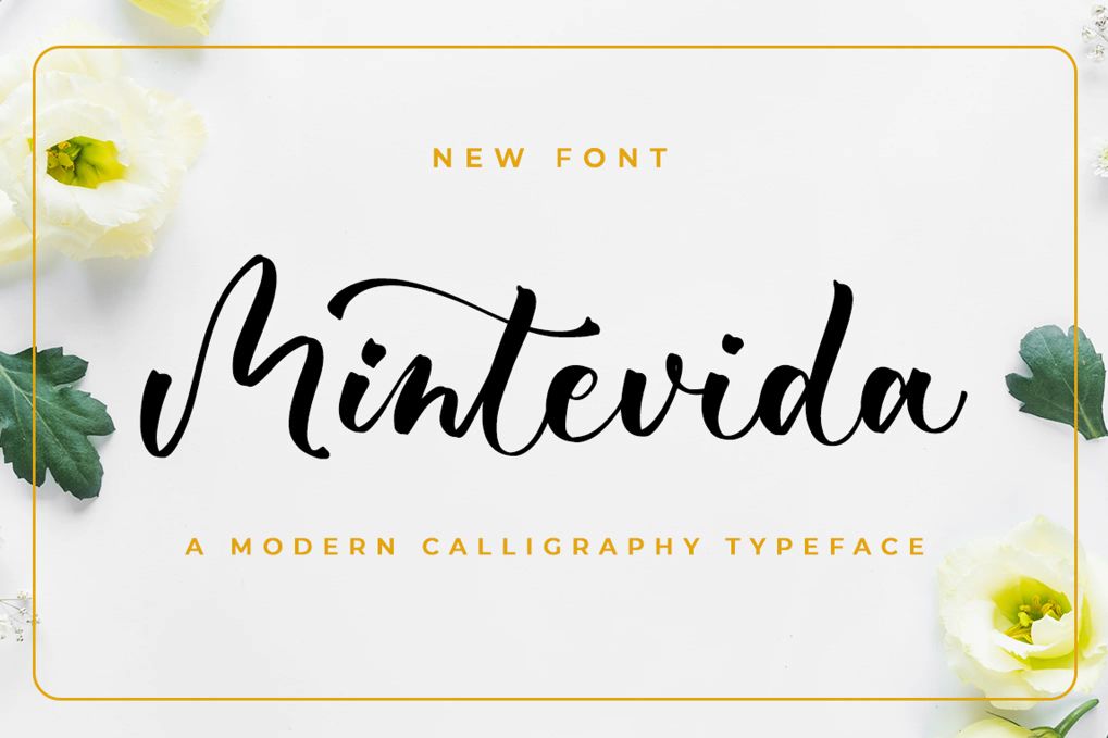 A modern calligraphy script font