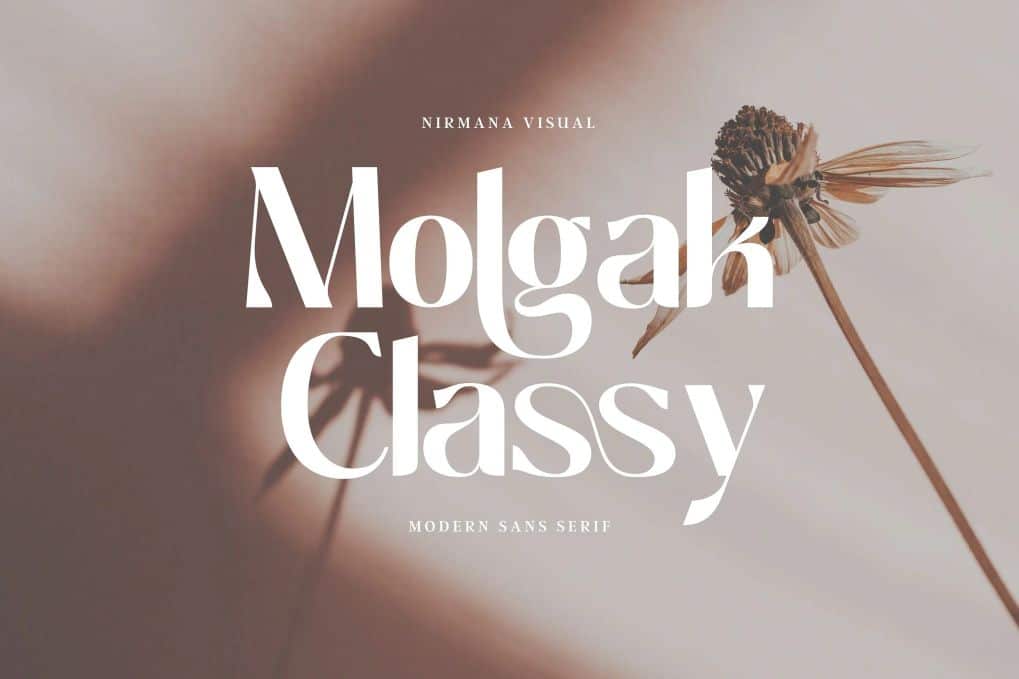 A modern sans serif font