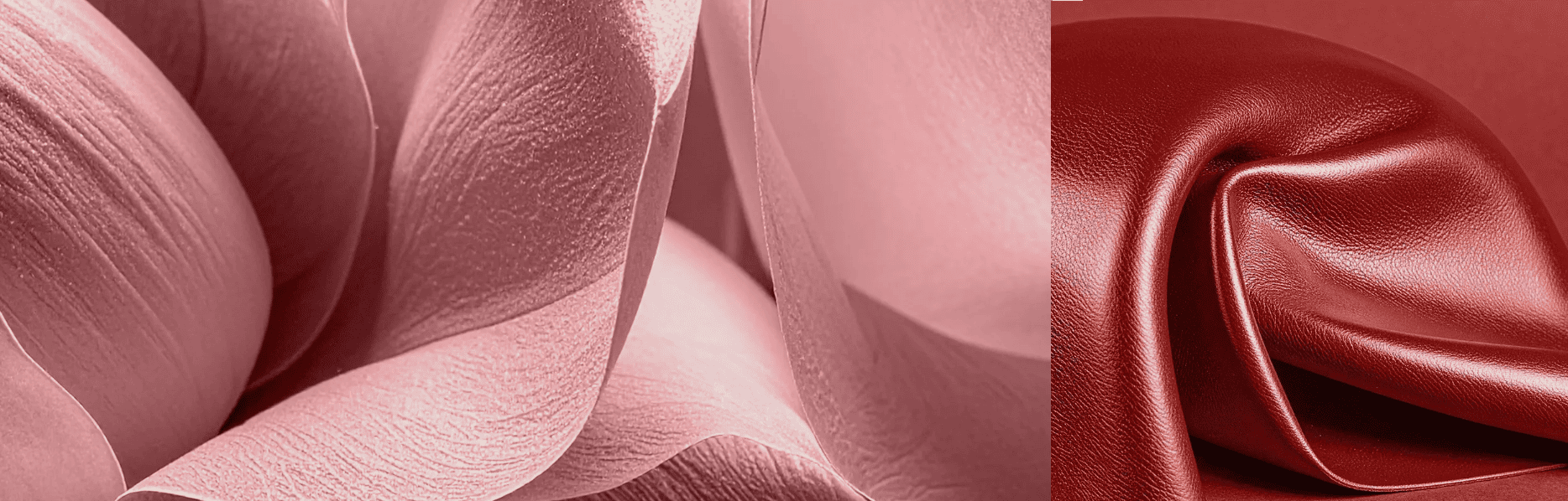 Pantone fashion colors spring summer 2026