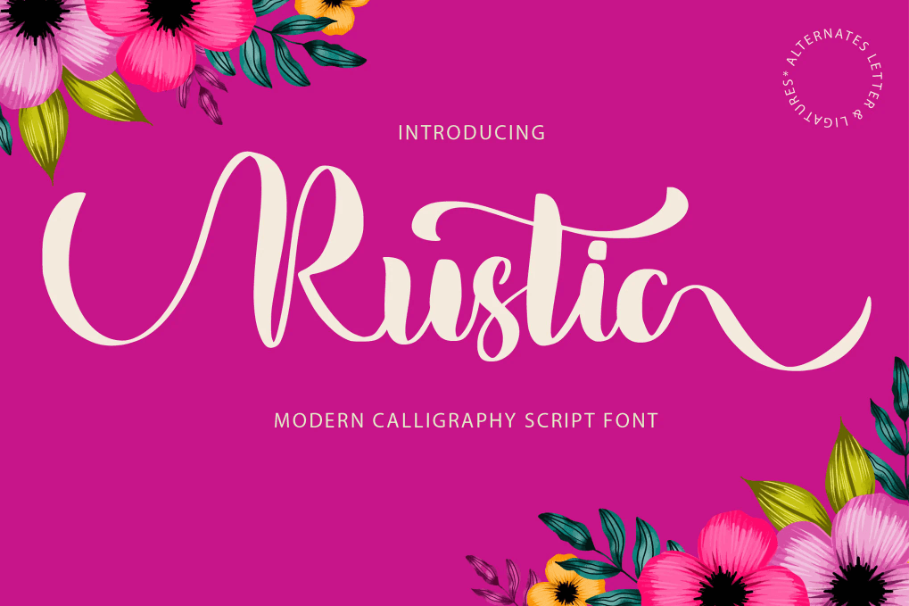 A modern calligraphy script font