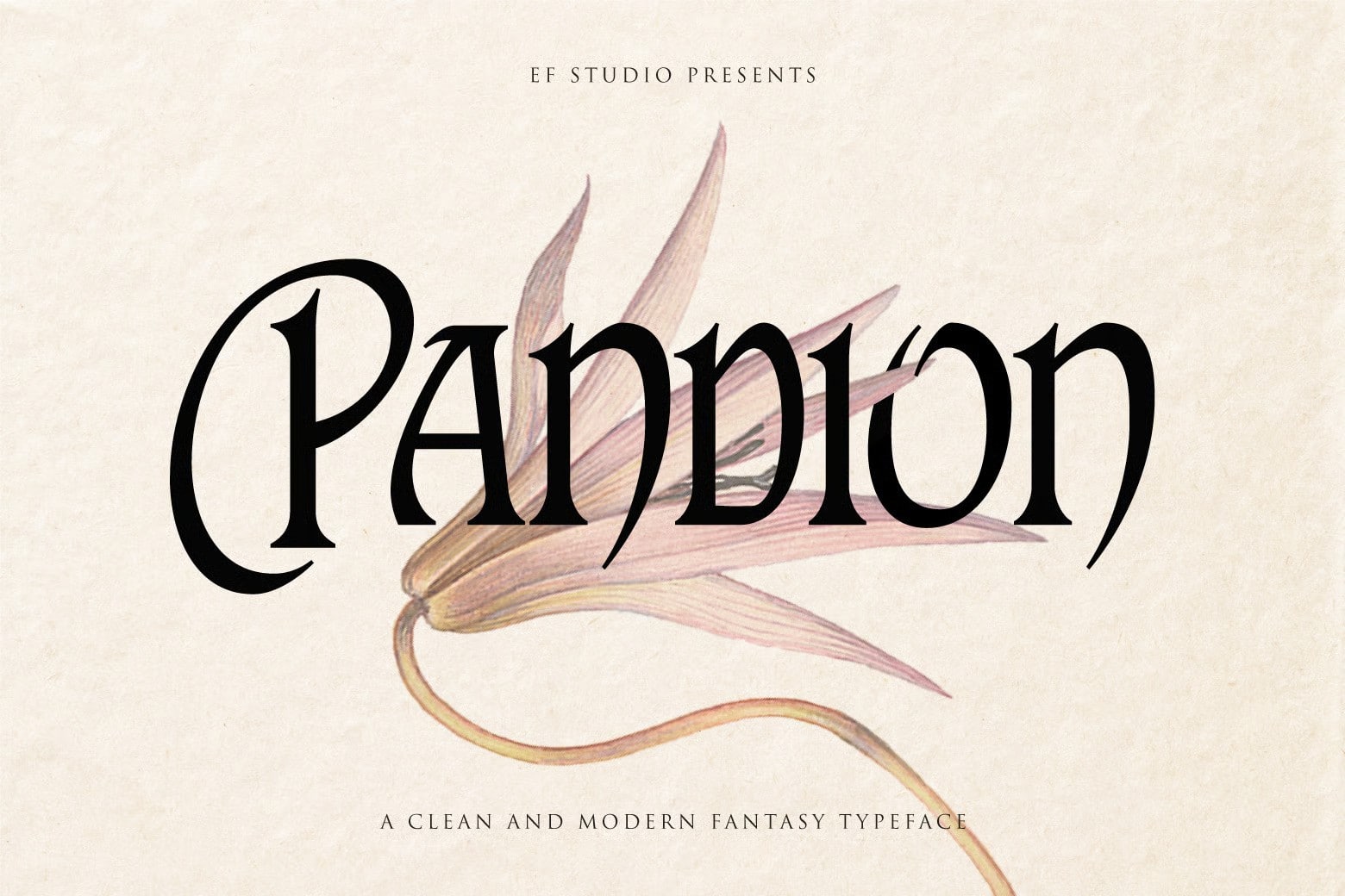 A clean and modern fantasy typeface