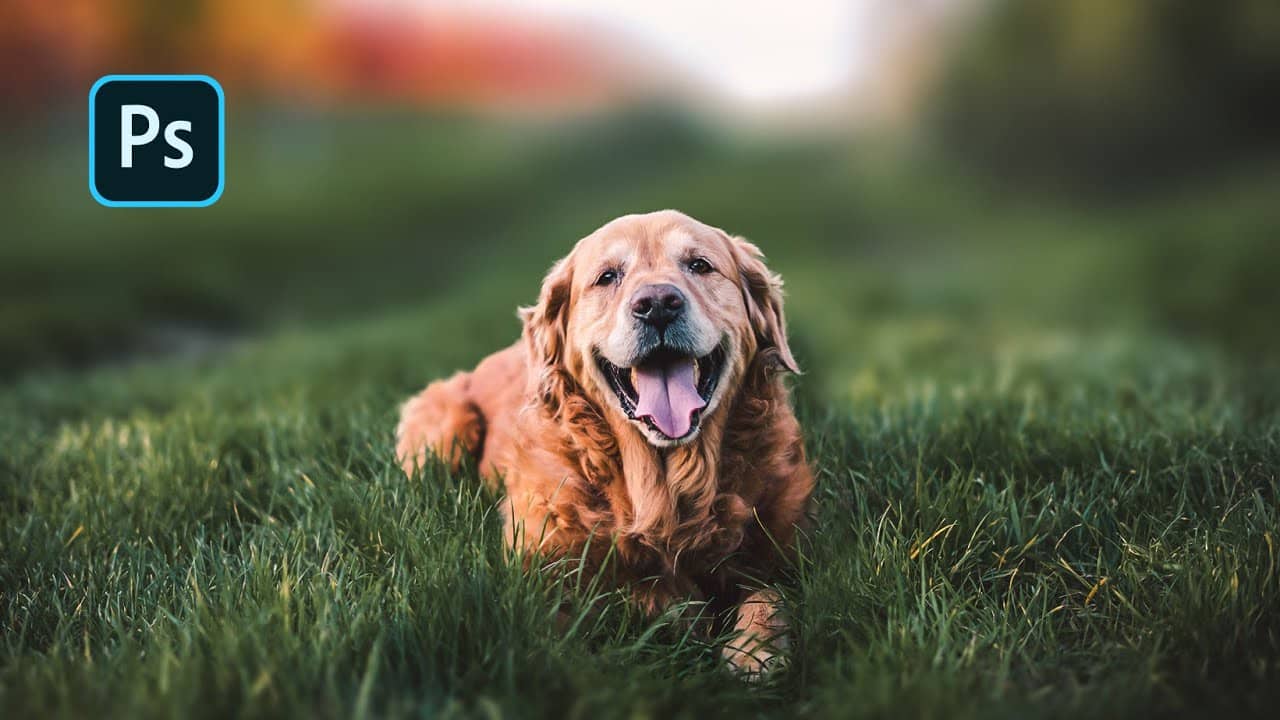 Create an easy outdoor portrait in Photoshop tutorial