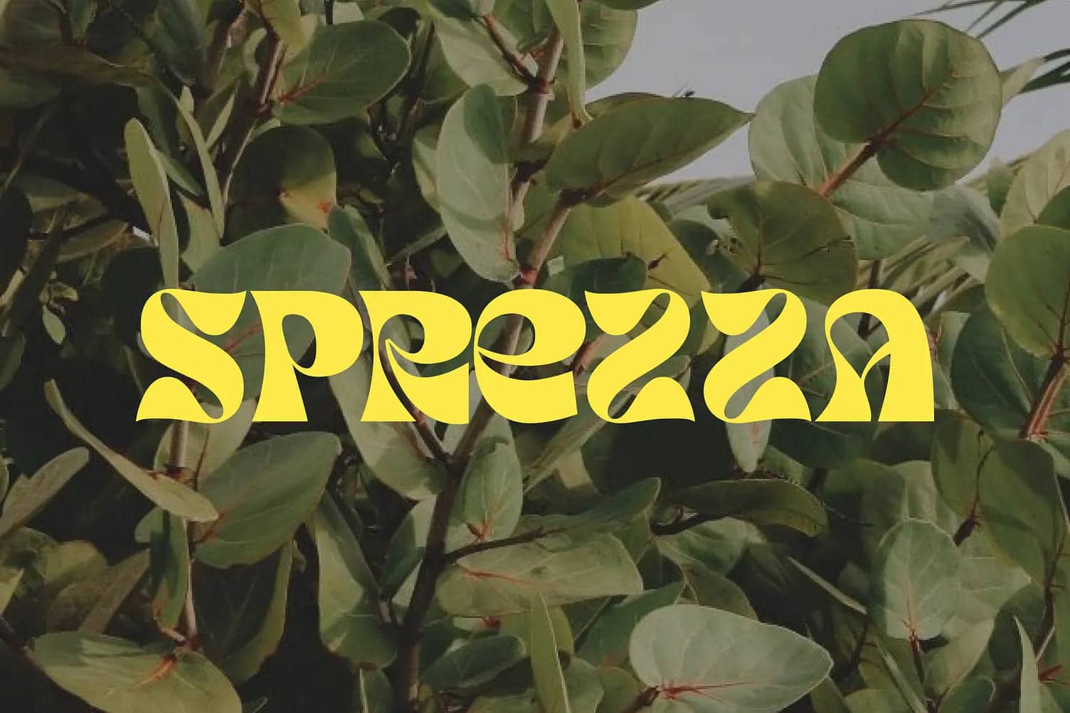 Sprezza logo design