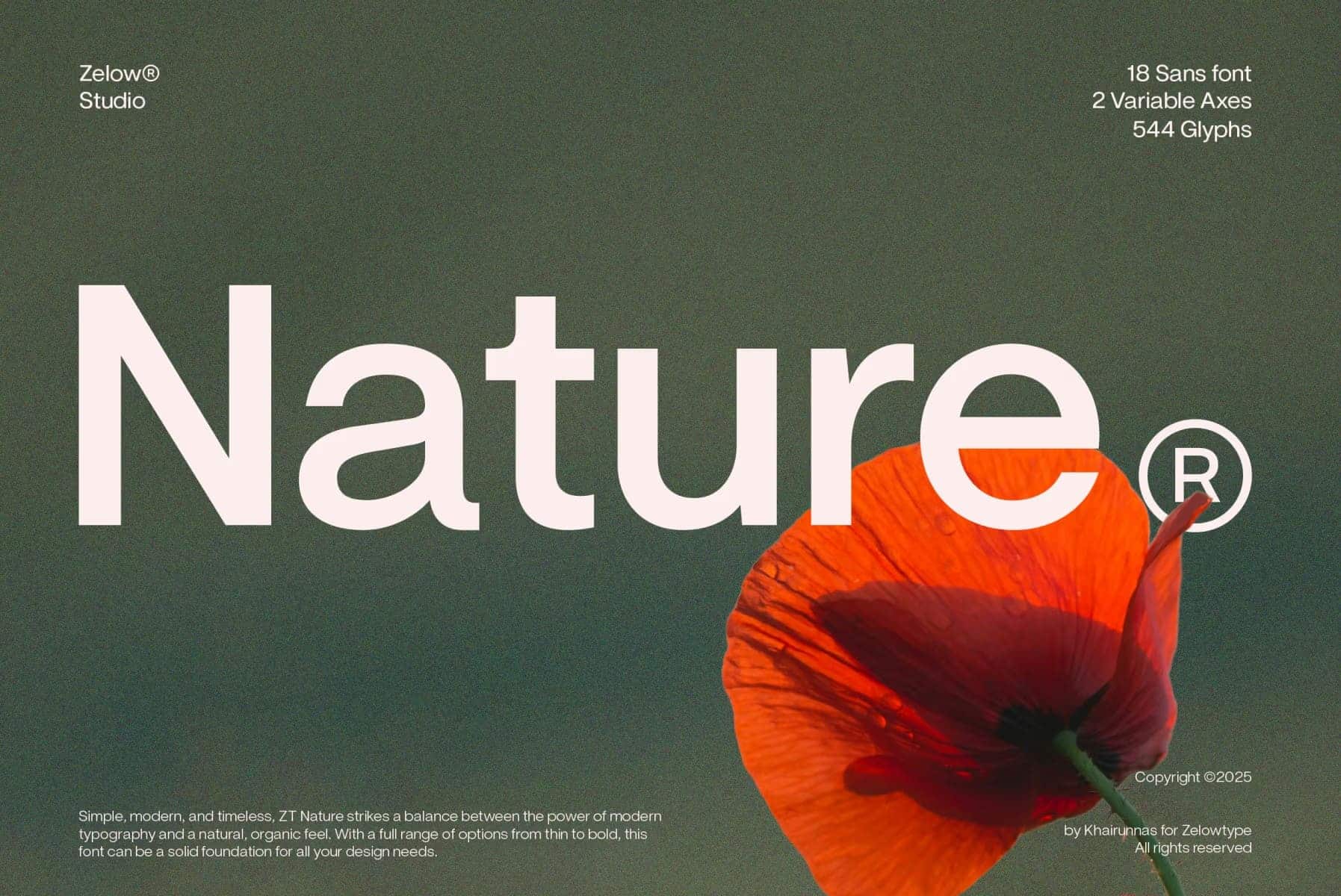 A free magazine display font