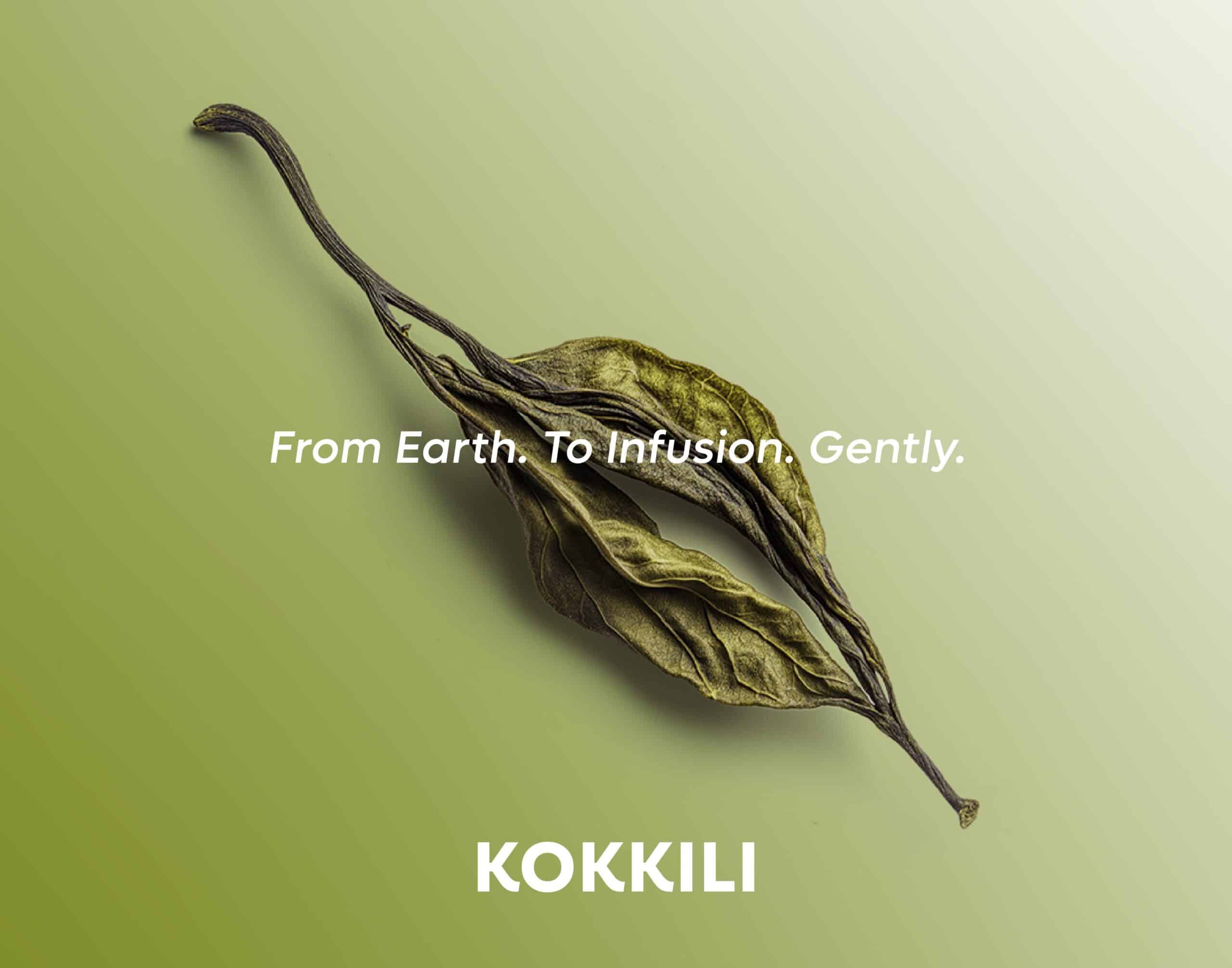 Kokkili dried tea leave