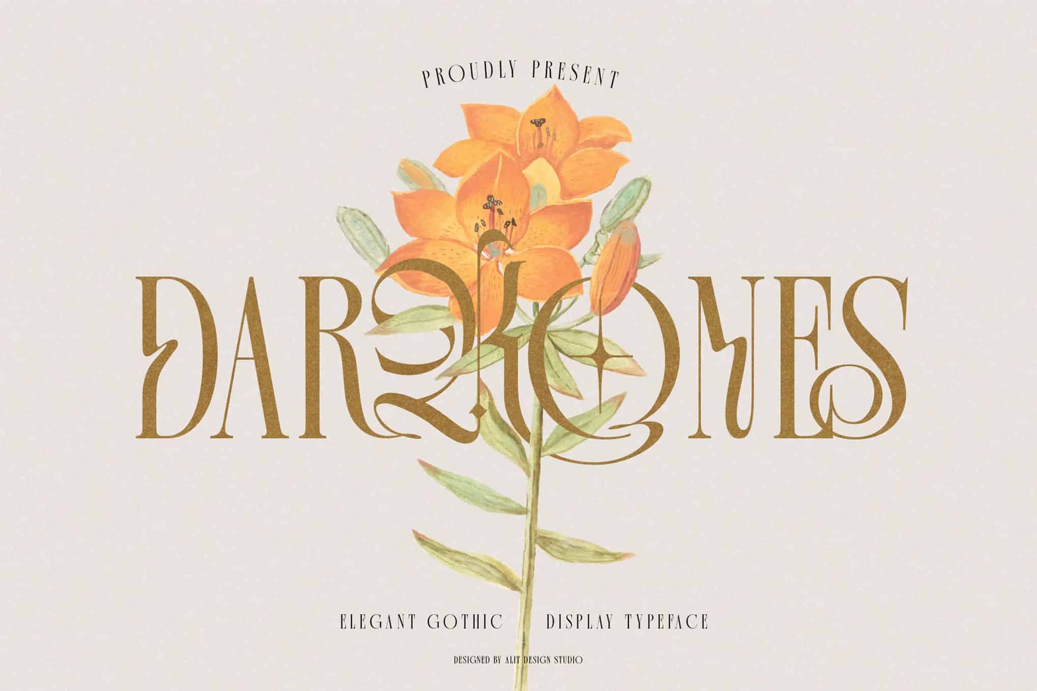 An elegant Gothic display typeface