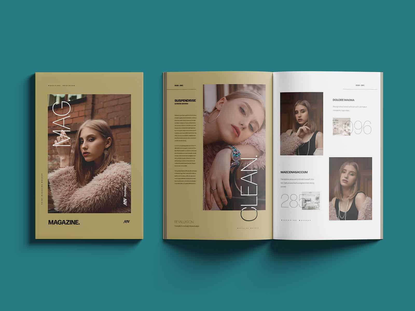 Free title / open magazine mockup