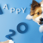 ‘Happy2O’ – the world’s first pet hydration system Happy2O packaging