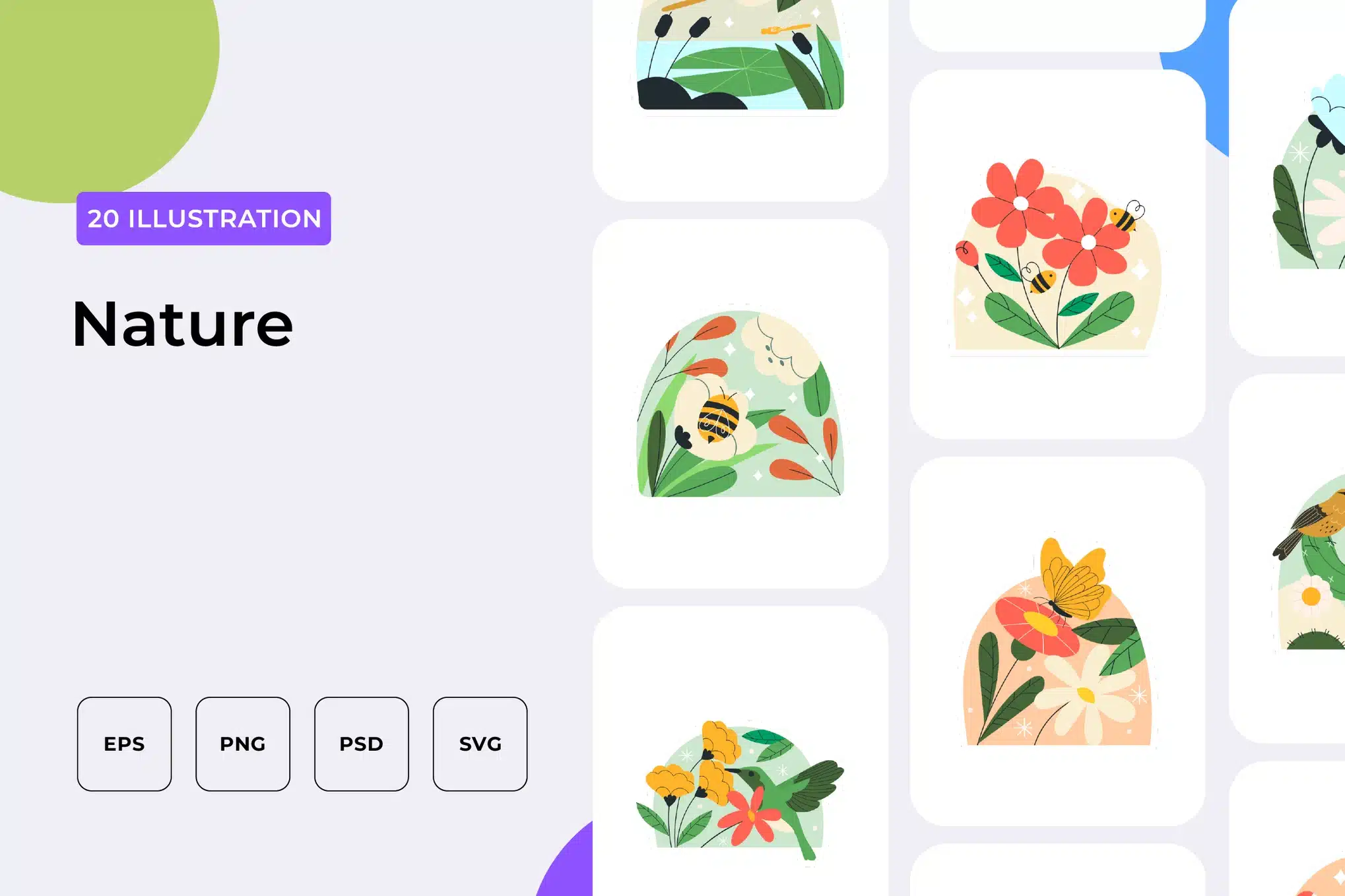 20 Nature Illustrations