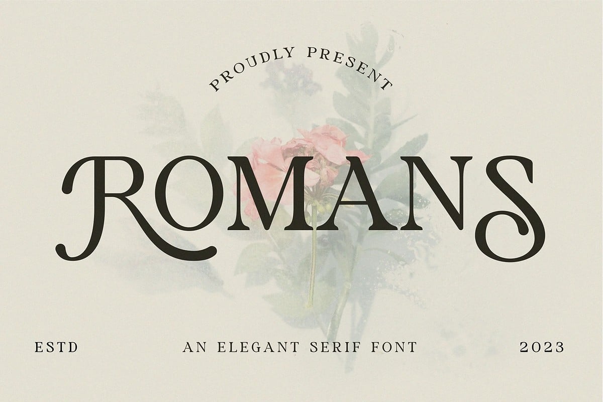 An elegant serif font