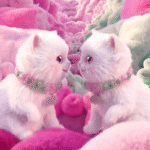 Uncharted Studio: TopCashback brings joy to the UK TopCashBack ad campaign