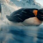 Philips Sonicare ad campaign