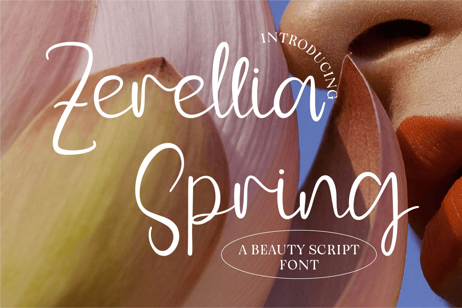 A beauty script font